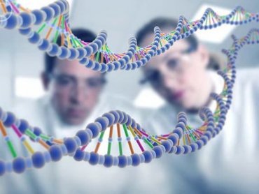 Генетики из Гарварда, МГУ и "Сколтеха" создали алгоритм для эффективного поиска "генов долголетия"